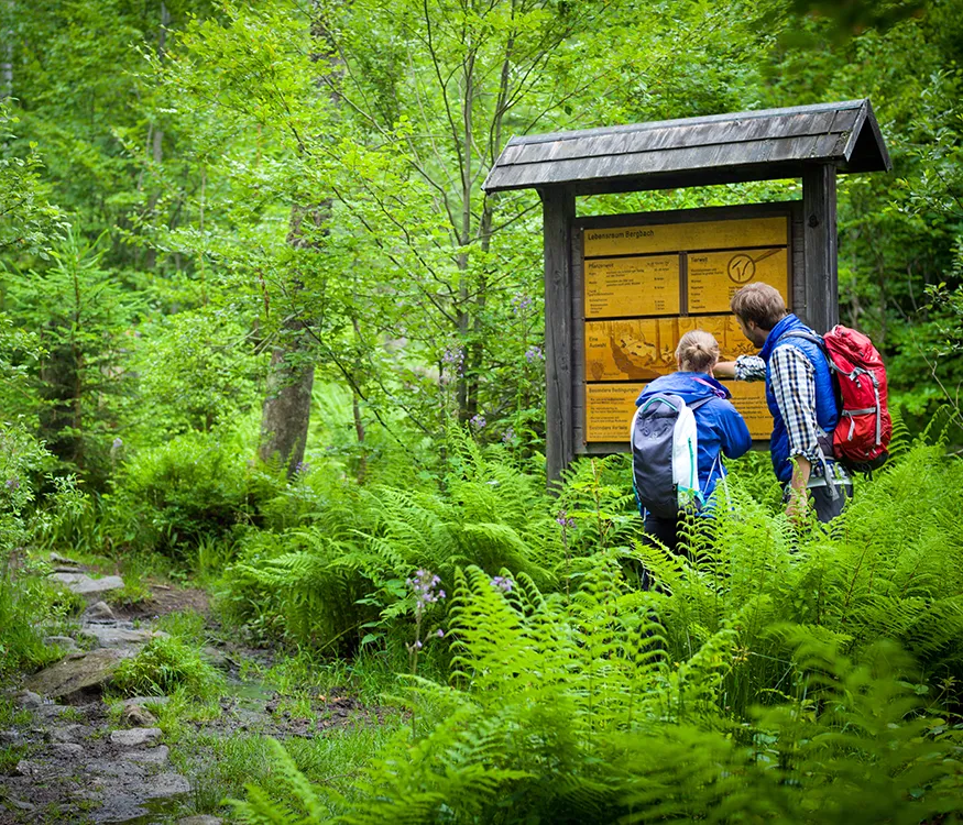 Wanderpärchen vor einer Nationalpark Infotafel im Grünen Wanderer im Nationalpark