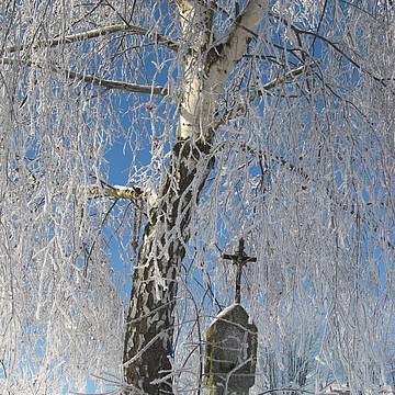 Baum mit Kreuz in winterlicher Landschaft