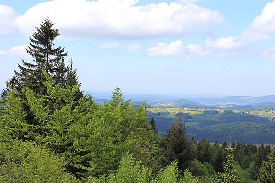 Waldhäuser Ausblick Bayerischer Wald