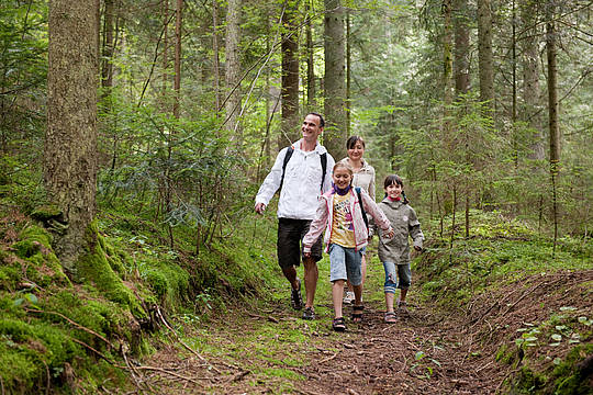 Familienwanderung im Bayerischen Wald