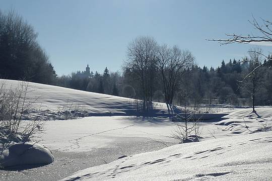 Gemeinde- und Kurpark Spiegelau im Winter