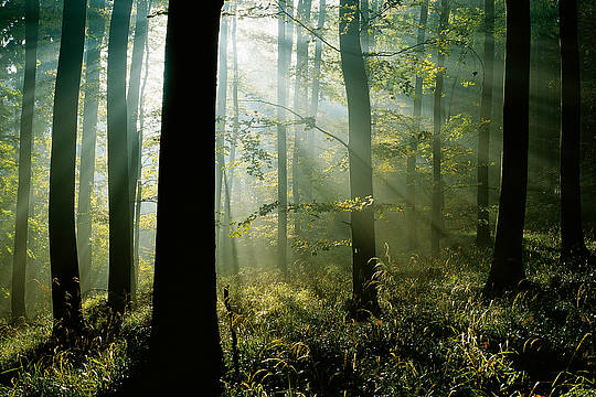 Herbst Wandern Bayerischer Wald