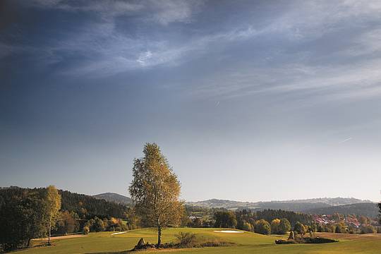 Golfclub Golfplatz Nationalpark Bayerischer Wald