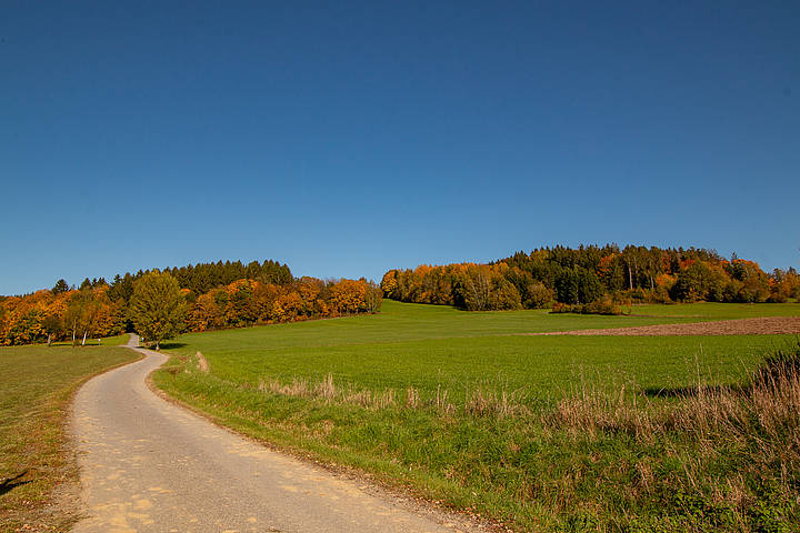 Wandern im Herbst im Bayerischen Wald