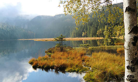 See in der Ferienregion Nationalpark Bayerischer Wald
