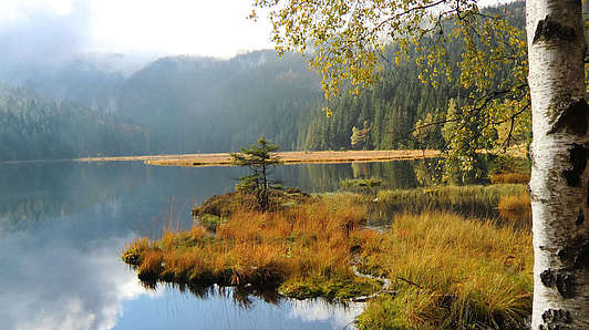 Jezero v rekreační oblasti Národního parku Bavorský les
