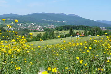 Panoramaweg um Zwiesel