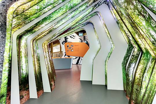 Über den Nationalpark Bayerischer Wald informiert die Dauerausstellung im Hans-Eisenmann-Haus.