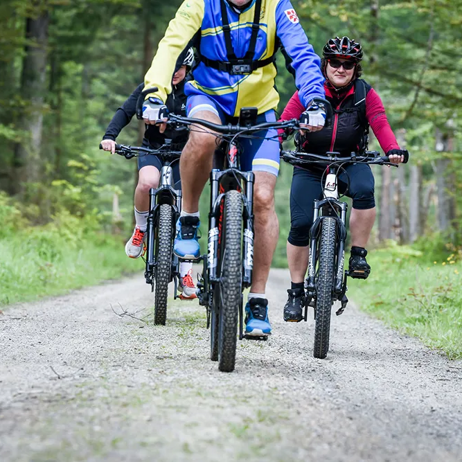 Auf einem Waldweg im radeln drei Personen, mit Fahrradkleidung auf markierten Radwegen durch den Nationalpark Bayerischer Wald.