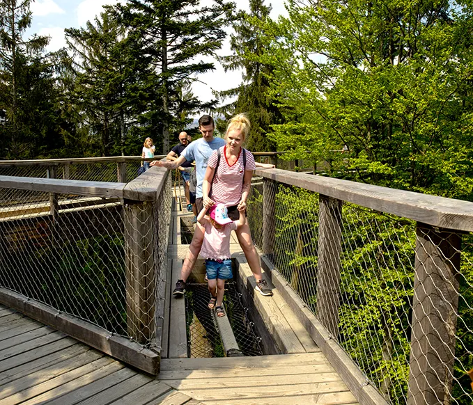 Familie unterwegs auf dem Baumwipfelpfad im Nationalparkzentrum Lusen Eine Familie nutzt die Erlebnisstationen des Baumwipfelpfades