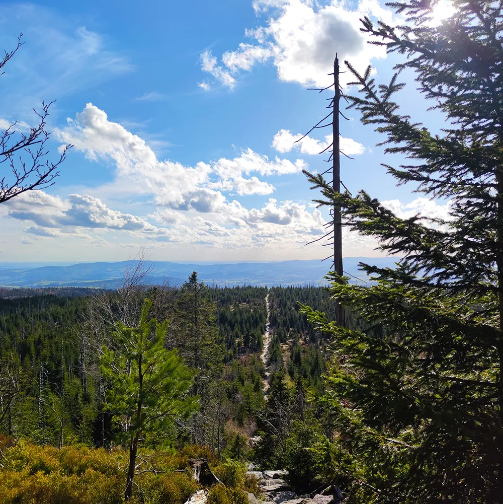 Ansicht der Himmelsleiter, eines steirnen Pfades, der auf den Gipfel des Lusen führt Wanderweg zum Lusen