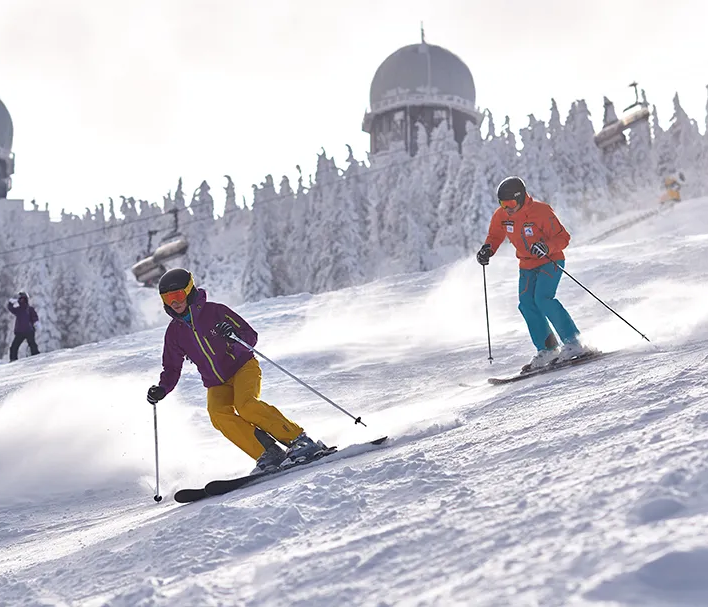 Skifahrer genießen den frischen Schnee im Arber-Skigebiet. Im Hintergrund die Arberkuppeln Skifahren am Großen Arber