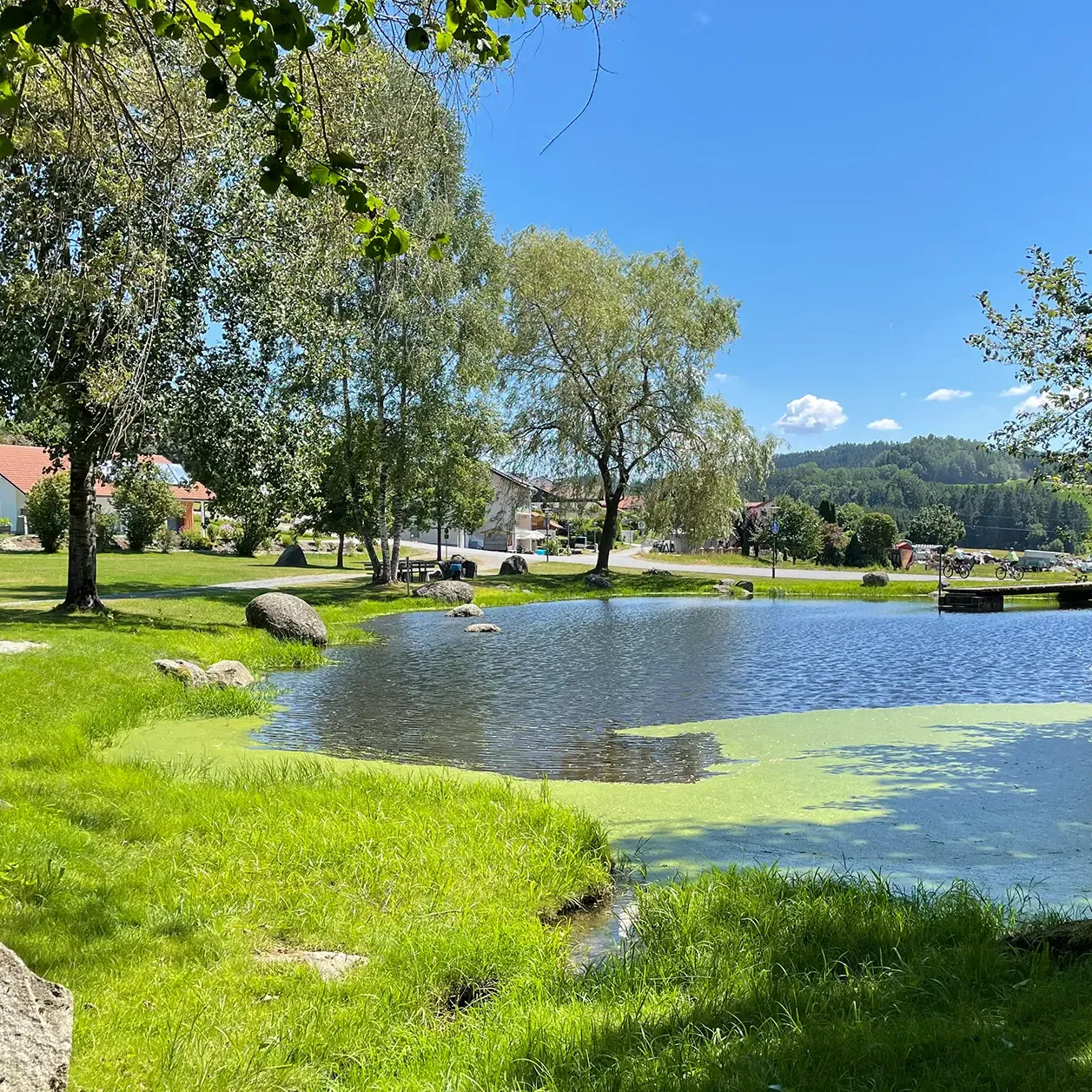 Nahaufnahme des Eppenschlager Erholungsweihers im Sommer Die Gemeinde Eppenschlag mit ihrem schönen Erholungsweiher