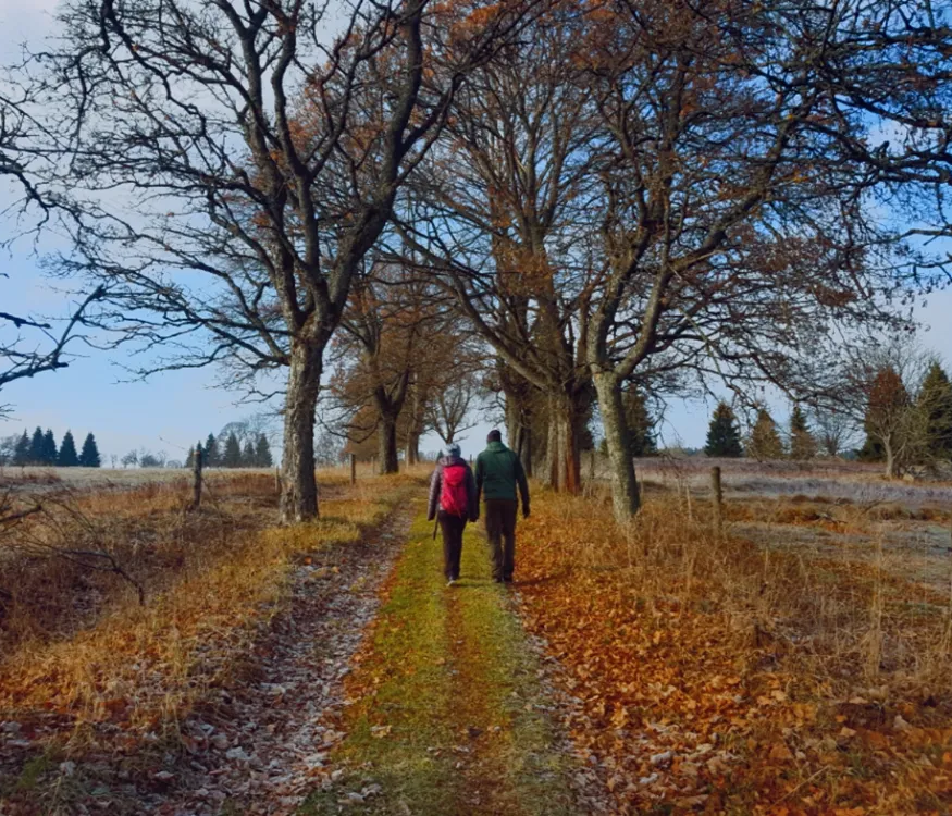 Grenzenlos Wandern auf einem malerischen Herbstweg Zwei Wanderer auf Feldweg im Herbst