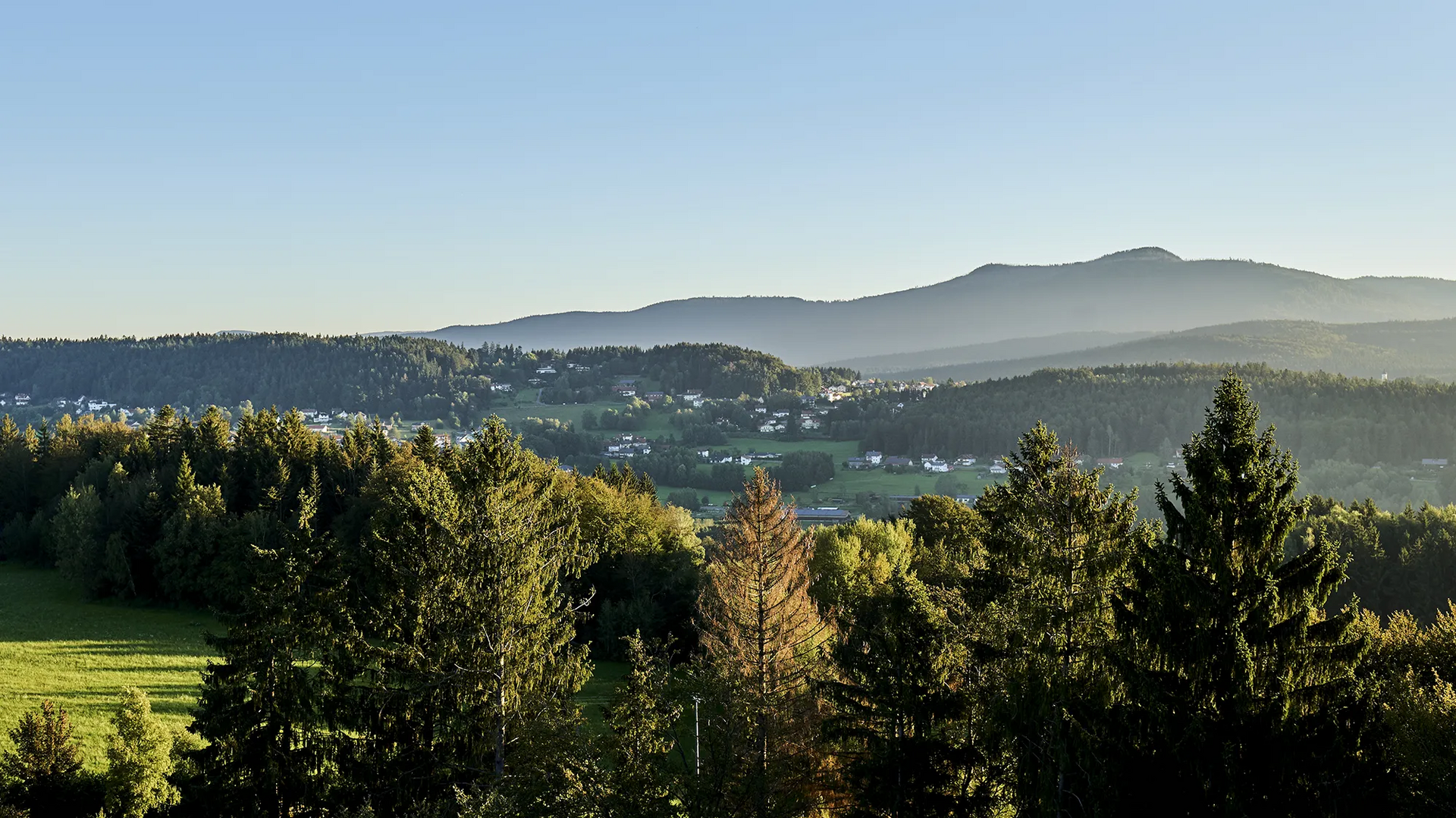 Idyllische Aussicht auf die ländliche Umgebung von Spiegelau mit den sanften Mittelgebirgserhebungen. Das wunderschöne Tal um Spiegelau gelegen, am Fuße der Hausberge der bayerischen Mittelgebirgslandschaft, mit üppigen Bäumen und kleinen Häusersiedlungen, das von der goldenen Sonne beleuchtet wird.