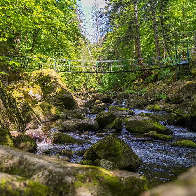 Geröllreicher Bachlauf mit Hängebrücke über der "Wolfsteiner Ohe" Buchberger Leite