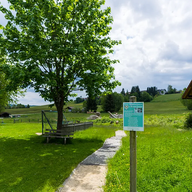Barfusspfad bei der Naturkneippanlage in Hohenau Naturkneippanlage