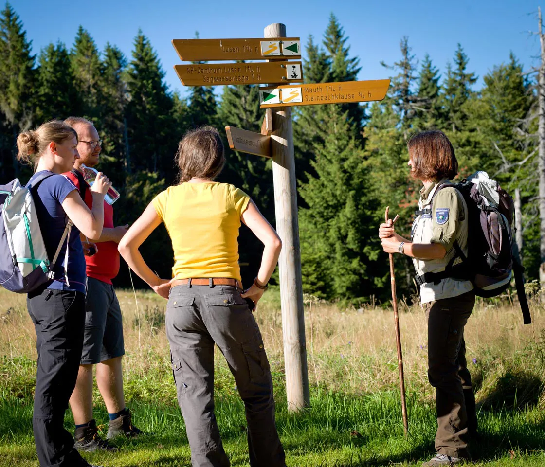 Ranger planen ihre Tour in ihrem schönen Arbeitsgebiet Nationalpark Bayerischer Wald Vier Nationalparkmitarbeiter stehen an einem Wegweiser im Wald, während sie die nächsten Routen planen, um ihren Tag zu strukturieren.