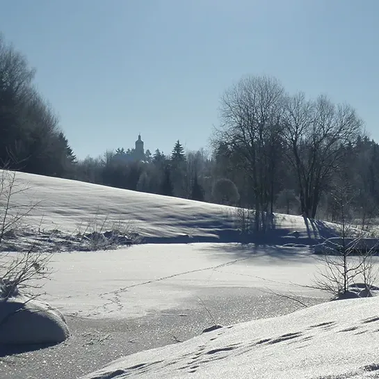 Verschneiter Spiegelauer Kurpark im Winter