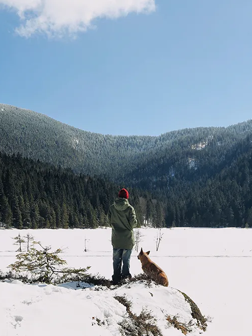 Eine Person und sein Hund in verschneiter Landschaft am schneebedeckten Arbersee Person mit Hund am kleinen, schneebedecktem Arbersee mit Blick auf den Großen Arber