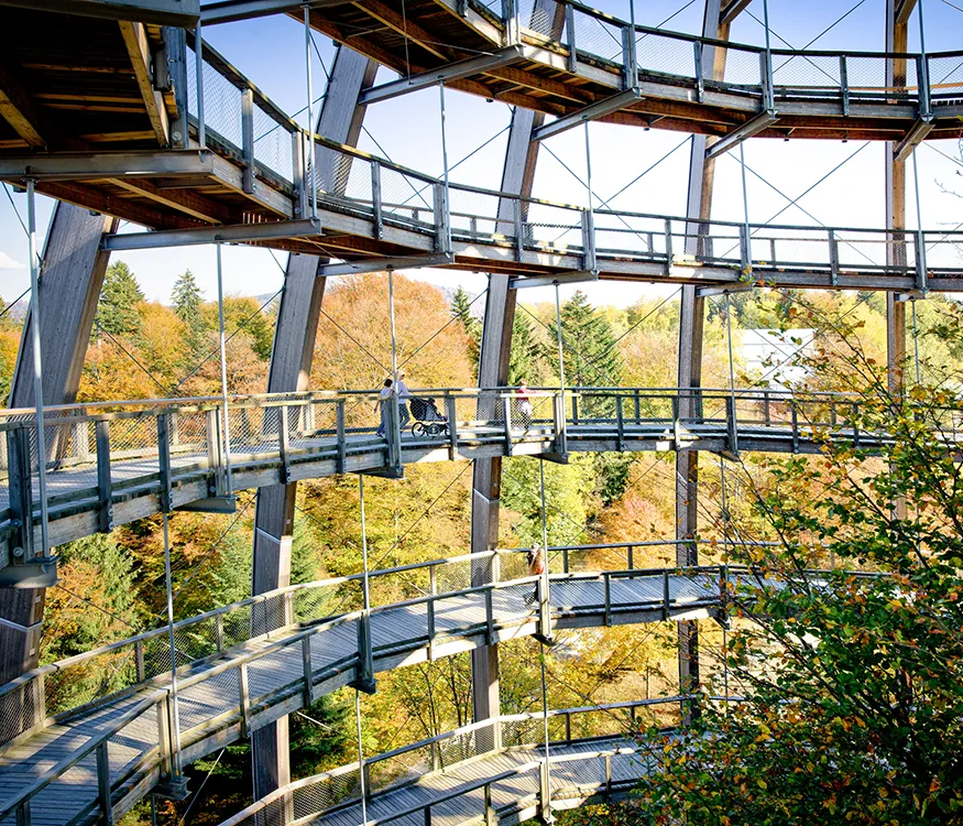 Die spiralförmigen Holzbrücken bieten einen Blick von verschiedenen Ebenen auf die bunten Blätter der Herbstbäume und die Naturwelten im Hintergrund.