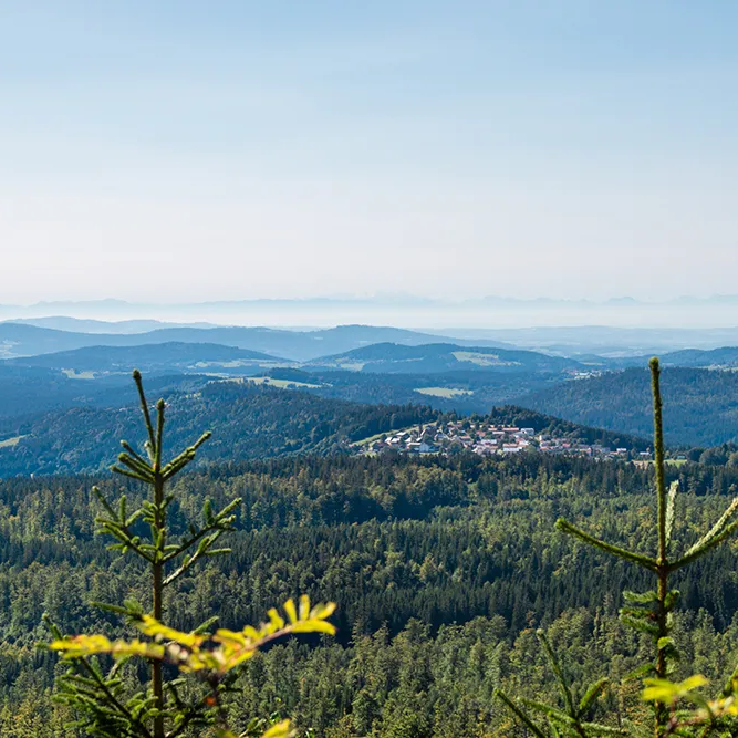 Atemberaubende Aussicht auf Finsterau inmitten der Waldwogen Fernblick auf Finsterau