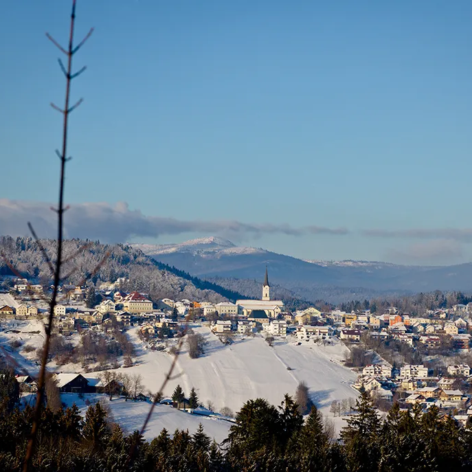 Die Aussicht geht über die Baumspitzen im Vordergrund und kahle Äste hinweg, während im Hintergrund das malerische Schönberg in der Winterlandschaft liegt, dahinter der Rachel.