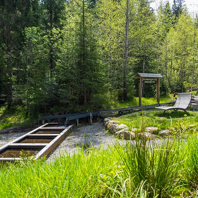 Goldwaschplatz in Riedlhütte am Rundweg "Kreuzotter" Goldwaschplatz St. Oswald-Riedlhütte