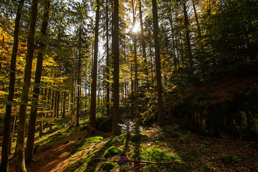Genusswanderung Bayerischer Wald 2019