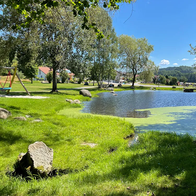 Sommerliche Szene mit Spielplatz und ruhigem Wasser am Klopferbach in Eppenschlag Am Rand sind vereinzelte große Steine und saftiges Gras zu sehen, während im Hintergrund ein kleiner Holzsteg ein Stück über den Teich führt.