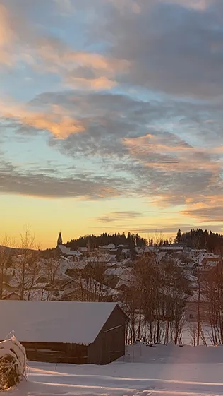 Blick auf Finsterau im Winter