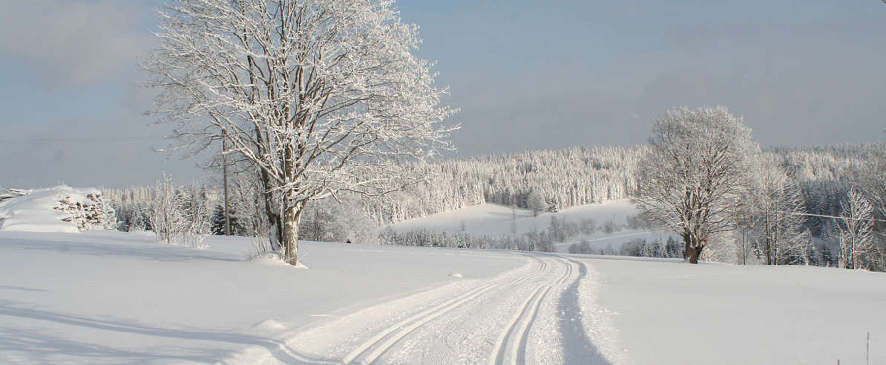 Finsterau cross-country ski trail