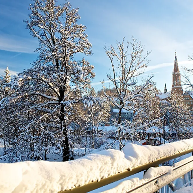 Die verschneite Landschaft mit schneebedeckten Bäumen, verschneiten Fluß mit der Stadtpfarrkirche Zwiesel im Hintergrund