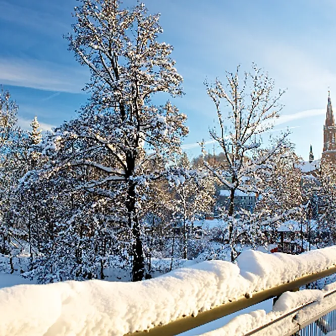 Die verschneite Landschaft mit schneebedeckten Bäumen, verschneiten Fluß mit der Stadtpfarrkirche Zwiesel im Hintergrund