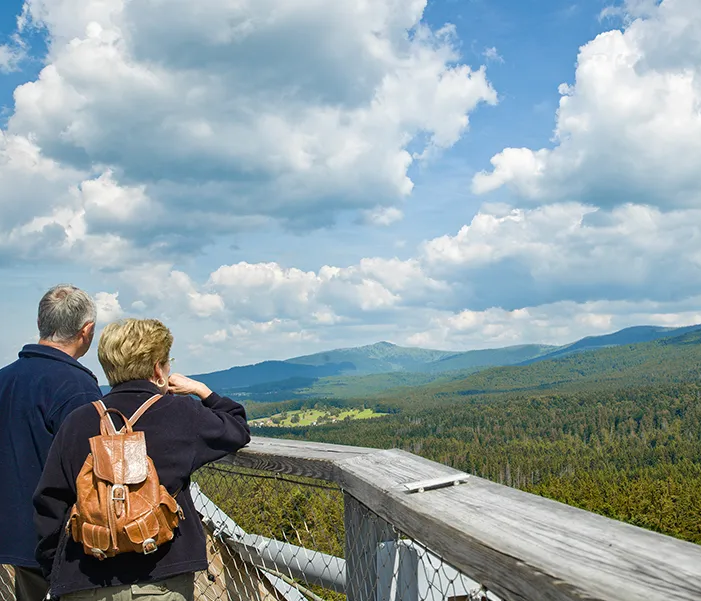 Ein Senioren-Paar steht am Geländer der Baumwipfelpfad-Plattform und blickt auf die Weite Nationalpark-Kulisse.dschaft unter einem bewölkten Himmel.