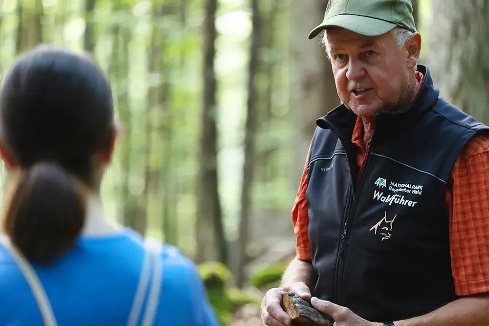 Ein Waldführer erklärt die Natur im Nationalpark Bayerischer Wald Der Waldführer erklärt die faszinierenden Phänome der Natur, während eine Teilnehmerin der Führung im interessiert zuhört.