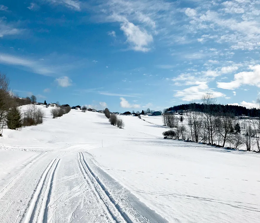 Idyllische Winterlandschaft mit klarer Sicht und idealen Loipenverhältnissen Die verschneite Landschaft mit den sanften Hügeln des Böhmerwaldes, blauem Himmel und vereinzelten Baumgruppierungen, strahlt unendliche Ruhe aus.