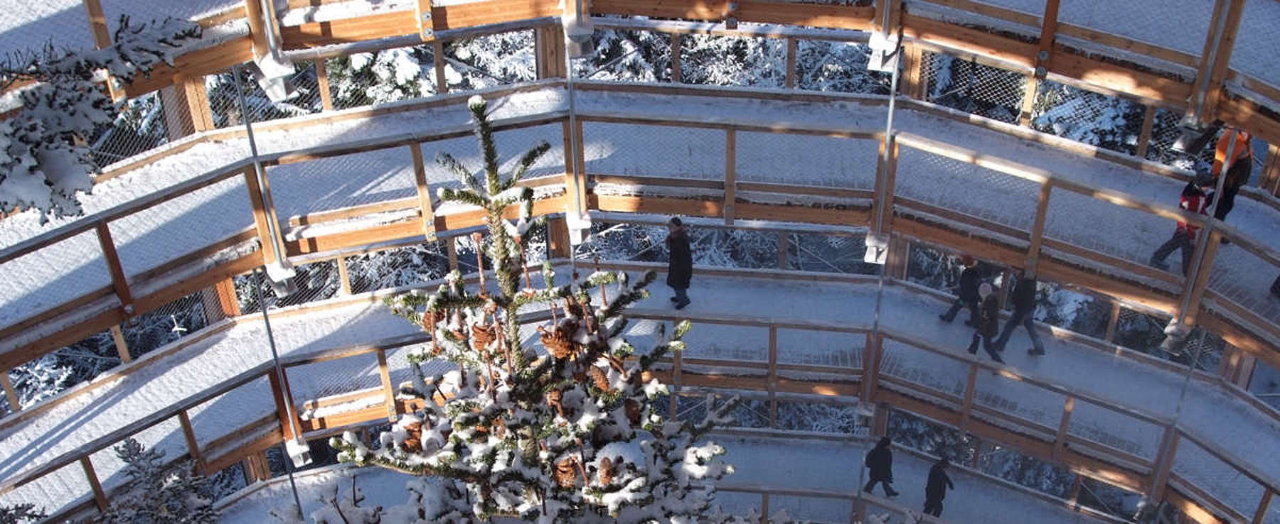 Der verschneite Baumwipfelpfad wird im Winter geräumt