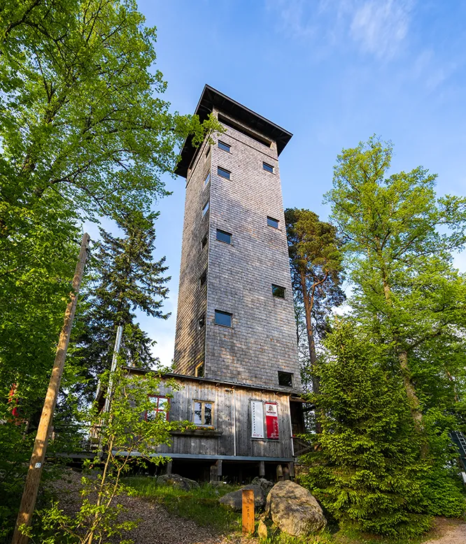Hoch aufragender Aussichtsturm in Schönberg am Kadernberg umgeben von üppigem Grün Aussichtsturm Kadernberg