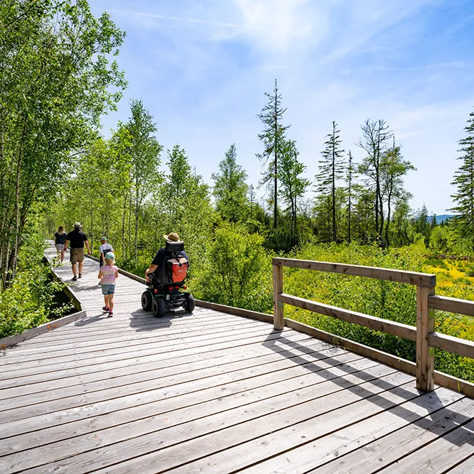 Entspannte barrierefreie Wanderung durch üppige grüne Landschaften Die Sonne scheint auf den barrierefreien Holzsteg am Rundweg mit dem Markierungszeichen Libelle, auf dem eine Familie, darunter ein Rollstuhlfahrer, die Naturschönheit des Großen Filz entdeckt.
