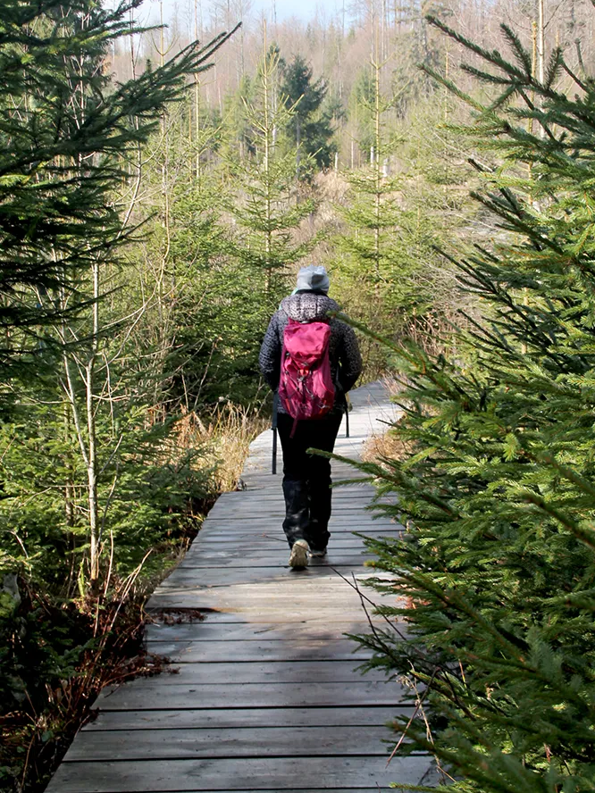 Wanderer in der Ferienregion