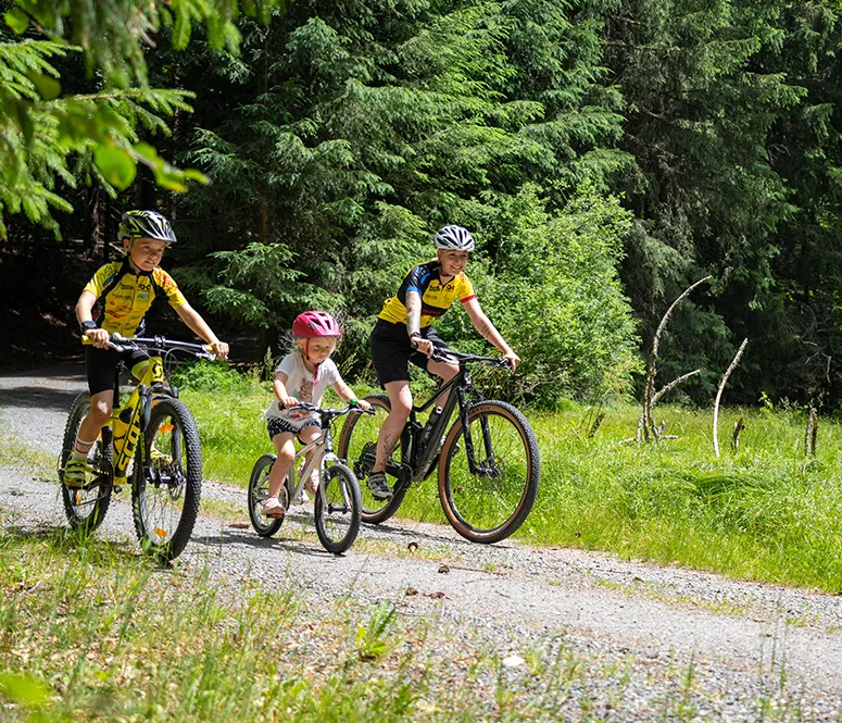 Gemeinsame Zeit: Kinder genießen das Radfahren im Bayerwald Zwei Personen in Sporttrikots und ein kleines Mädchen fahren fröhlich auf einem Waldweg mit ihren Fahrrädern, umgeben von grünen Bäumen und Wiese.