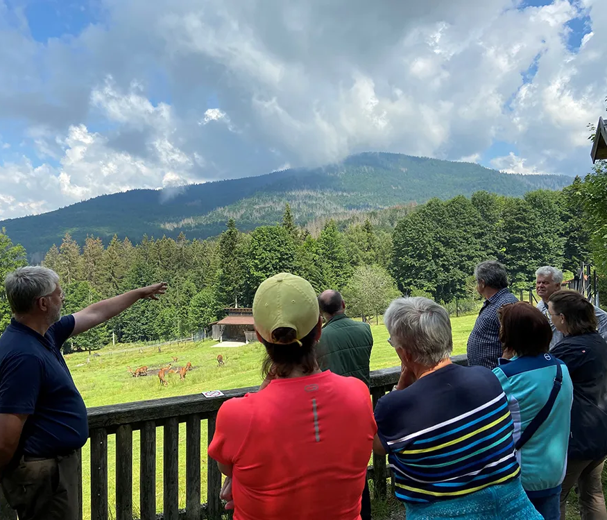 Fortbildung rund um das Hirschgehege Scheuereck im Falkensteingebiet Besucherführung am Hirschgehege Scheuereck