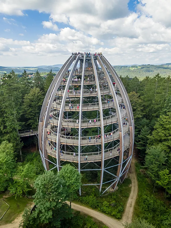 Ein Drohnenbild zeigt das über 40m hohe Baumei des Baumwipfelpfades im Nationalparkzentrum Lusen
