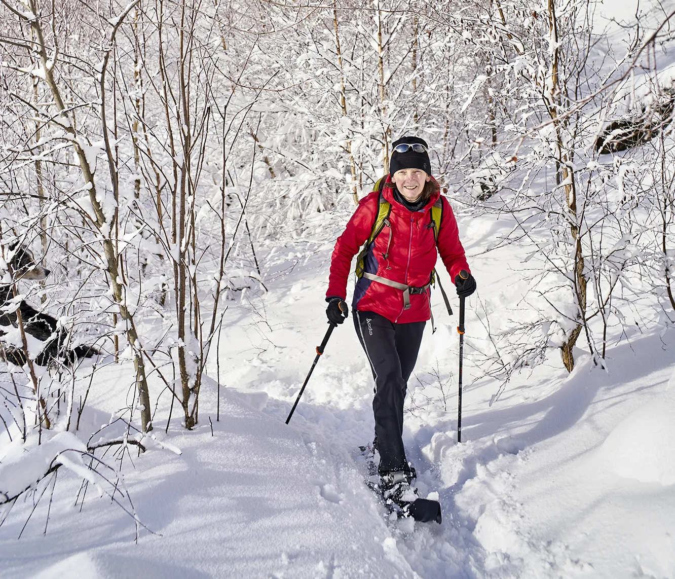 Schneeschuhwanderin am Silberner Schneeschuhwandererin
