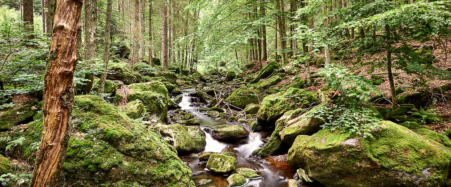 Hiking in the stone gorge Bavarian Forest
