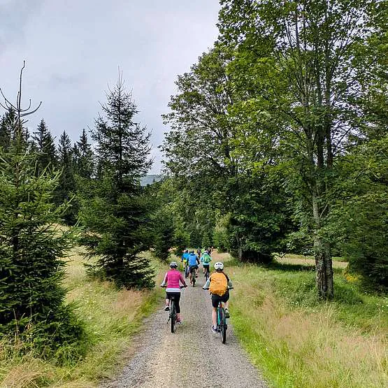 4-Gänge-Radeltour durch das alte Nationalparkgebiet Fahrradgruppe