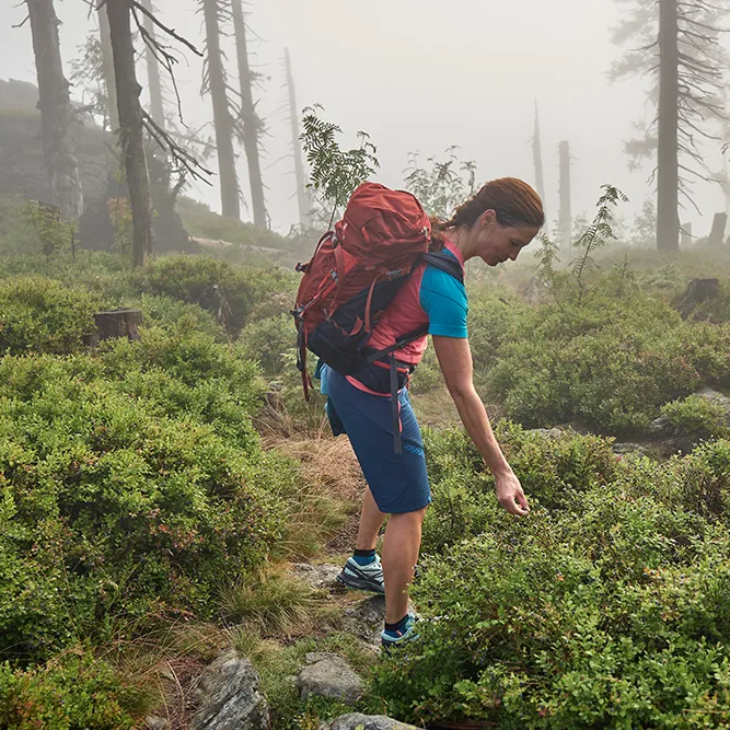 Entdeckungstour: Beeren sammeln im mystischen Nebel In einem nebligen Wald begutachtet eine Frau mit einem roten Rucksack den üppigen Pflanzenbewuchs.