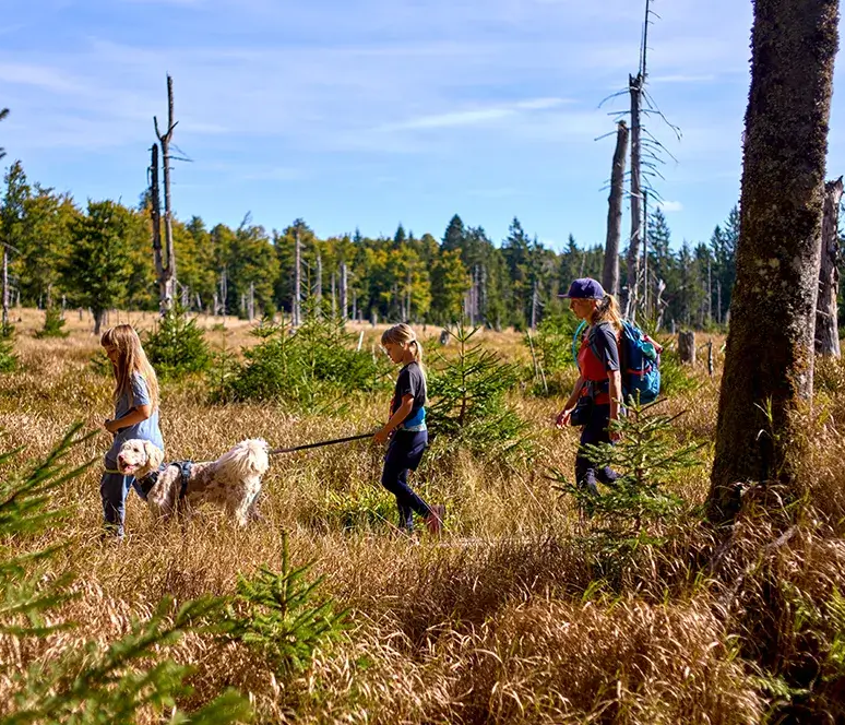 Familienausflug mit Hund genießen die Natur Drei Personen wandern durch eine sonnige, grasbewachsene Landschaft, begleitet von einem Hund, die wie eine Steppe wirkt.