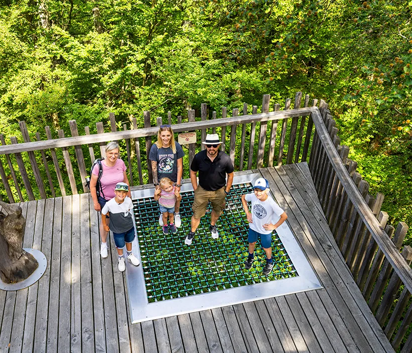 Eine Familie steht auf dem Netz der Waldinsel am Baumwipfelpfad, umgeben von üppig grünen Laubbäumen, unter sich der Boden in einer Tiefe von 20 Metern.